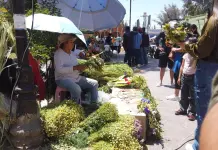 Villa de Pozos inicia Semana Santa con procesiones y bendición de ramos
