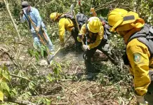 Cinco incendios activos en San Luis Potosí Cinco incendios activos en San Luis Potosí