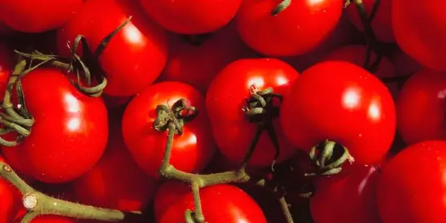 Posible arancel al tomate de México preocupa a Esteban Moctezuma