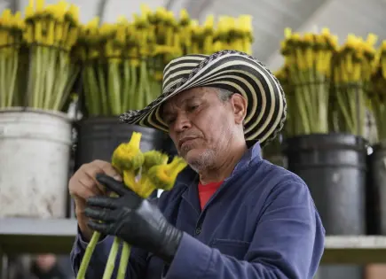 Impacto de los aranceles de Trump en la industria de flores colombiana