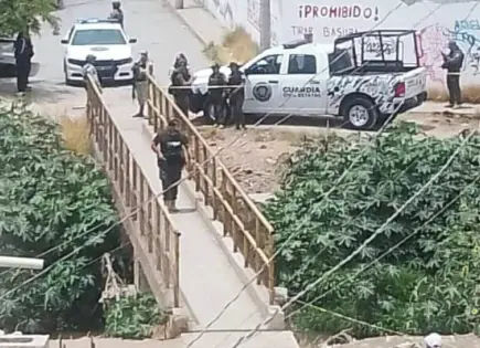 Hallan cadáver de mujer sospechosa por la muerte de su hijo Hallan cadáver de mujer sospechosa por la muerte de su hijo