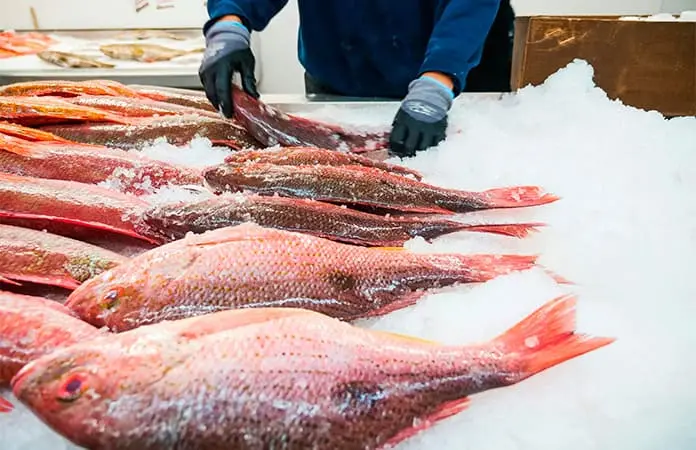 Decomisan más de 4 mil toneladas de pesca ilegal en 18 estados