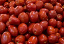 Confirma SE arancel de EU al jitomate mexicano