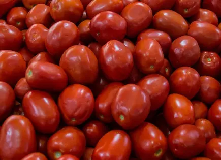 Exportaciones de productos agrícolas de México a Estados Unidos