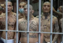 CIDH pide liberar a venezolanos deportados desde EE.UU. en El Salvador