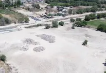 Reforestaci&oacute;n, una vez terminada la obra en R&iacute;o Santiago: Seduvop