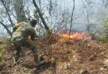 Ejército Mexicano intensifica combate a incendios forestales en San Luis Potosí Ejército Mexicano intensifica combate a incendios forestales en San Luis Potosí