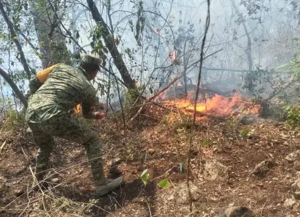 Se acumulan 10 mil hectáreas afectadas por  56 incendios forestales