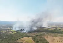 50 incendios forestales arrasan con 6 mil hect&aacute;reas