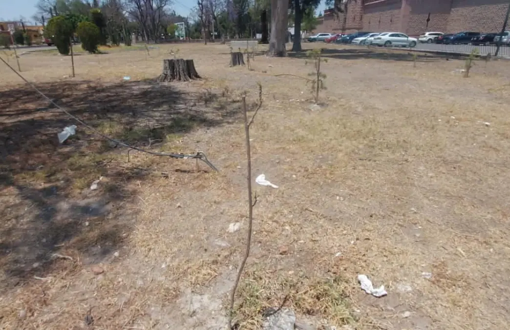 Centro de las Artes, SLP | Foto por Omar Hern&aacute;ndez