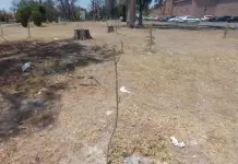 Reclaman abandono de &aacute;reas verdes del Ceart