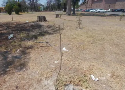 Reclaman abandono de &aacute;reas verdes del Ceart