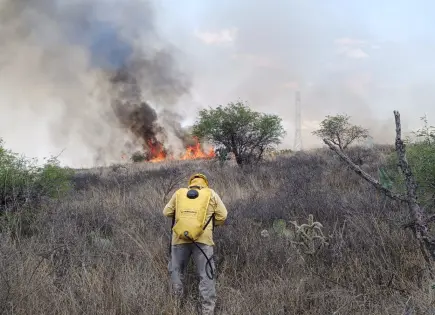 Controlan incendio de pastizal en Capulines