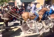 Revelan maltrato animal en Zacatecas durante cabalgata tradicional Revelan maltrato animal en Zacatecas durante cabalgata tradicional