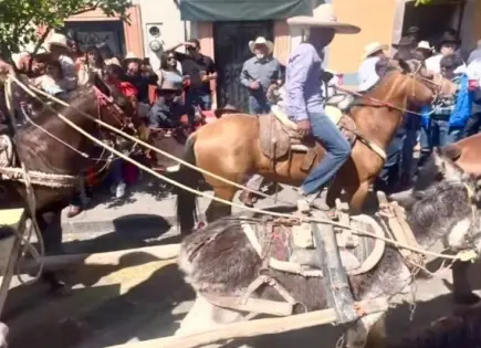 Revelan maltrato animal en Zacatecas durante cabalgata tradicional
