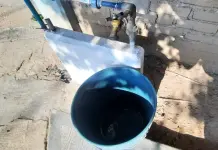 Suman 4 días sin agua en Cactus Suman 4 días sin agua en Cactus