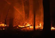 Levantan &oacute;rdenes de evacuaci&oacute;n tras incendio en Nueva Jersey