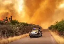 Video | Alerta en Mexquitic por enorme incendio forestal