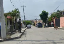 Catean dos casas en Ciudad Valles