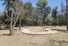 &Aacute;rboles fueron talados antes de las obras en Morales, dice Seduvop