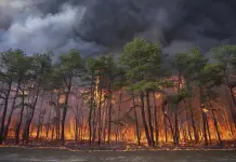 Consecuencias de la Contaminación por Incendio en Nueva Jersey Consecuencias de la Contaminación por Incendio en Nueva Jersey