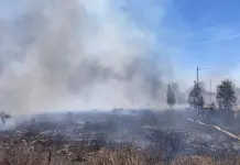 Video | Incendio al norte de la ciudad afecta a Morales e IMMSA