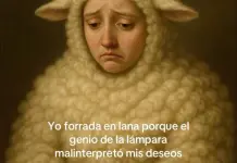 Descubre la creatividad detrás de El genio malinterpretó mi deseo