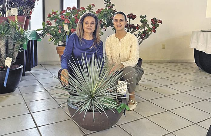 imagen carrusel