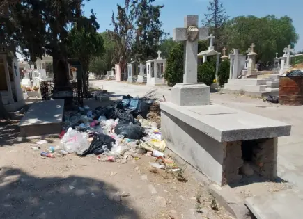 Panteón del Saucito enfrenta problemas con canes y basura