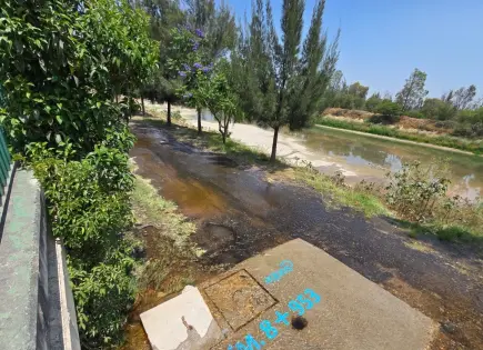 Desfogan agua de El Realito por mala calidad