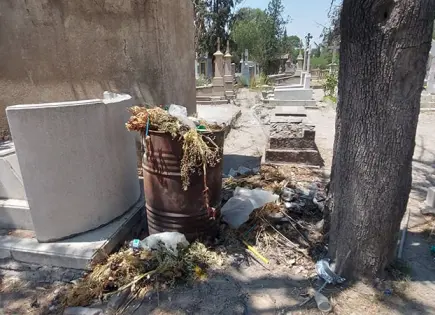 El Saucito se llena de perros y basura: DSM