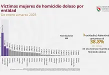 Hasta marzo, van 27 potosinas asesinadas
