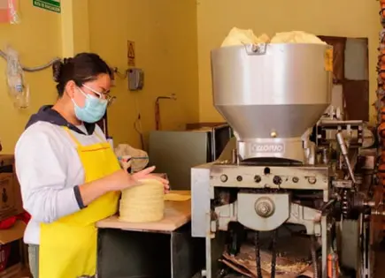 Industria de la tortilla, pilar económico