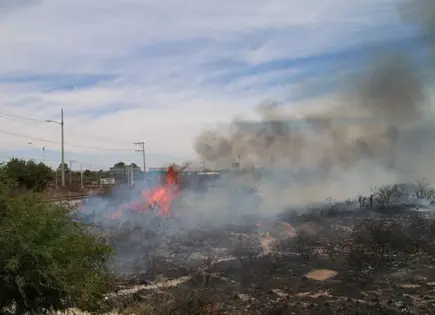 Registra SLP 75% más incendios que en 2024
