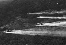 Impacto y legado del Agente Naranja en Vietnam