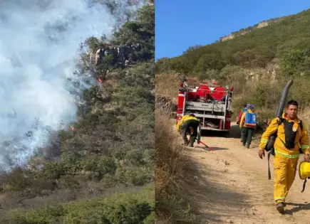 Se desatan incendios en cerros de Hidalgo; arrasan más de 20 hectáreas de pastizal
