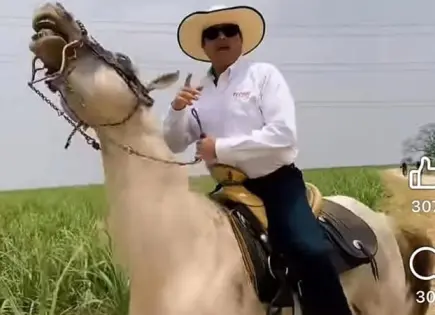 Critican al Tecmol por no saber montar un cuaco