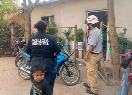 Enjambre de abejas ataca a un menor