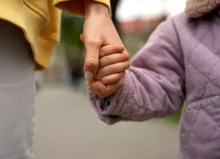 Homologación de legislaciones sobre adopción en México