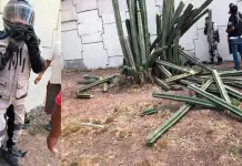 Motociclista cae de puente en Salvador Nava y milagrosamente salva la vida Motociclista cae de puente en Salvador Nava y milagrosamente salva la vida