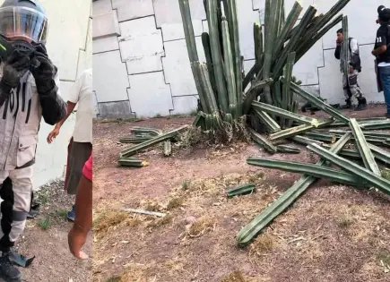 Motociclista cae de puente en Salvador Nava y milagrosamente salva la vida Motociclista cae de puente en Salvador Nava y milagrosamente salva la vida