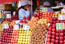 Desafíos económicos en América Latina por aranceles