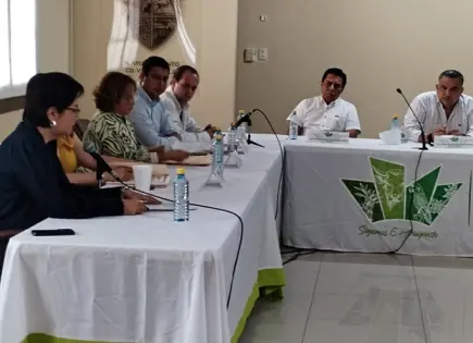Deuda municipal casi alcanza los 200 mdp: Anel