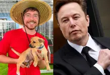 Elon Musk responde a MrBeast y enloquece las redes con un posible experimento viral