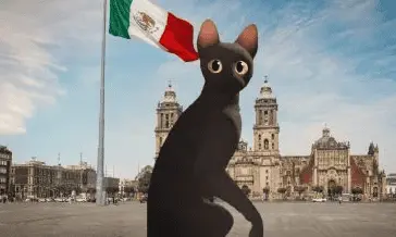 "Flow" conquista el Zócalo