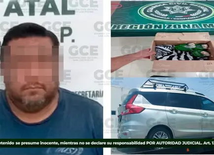Detienen a individuo por tráfico de aves