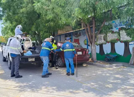 Enjambre ataca a trabajadores del Ayuntamiento en guardería de Valles