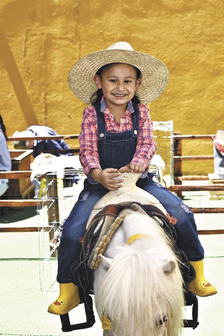 imagen carrusel