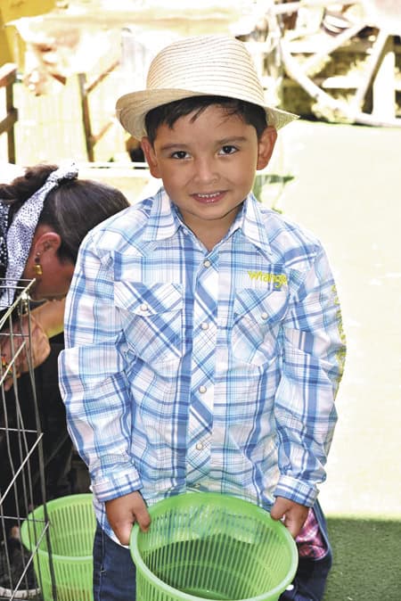 imagen carrusel