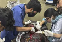 India lanza misiles a través de la frontera con Pakistán, matando a 1 niño, dicen funcionarios